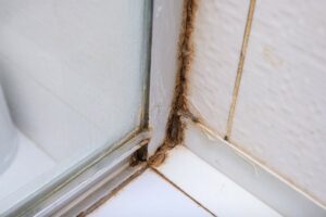 Professional Mold Inspections In Mobile Alabama