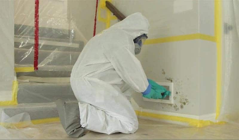 Mold Abatement