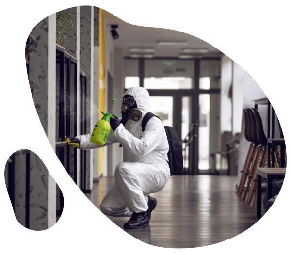 Commercial Mold Growth